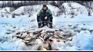 ЛЕСКА ТРЕЩИТ В ПАЛЬЦАХ! КЛЮЕТ НА ВСЕ ЧТО НЕ КИНЕШЬ. №4