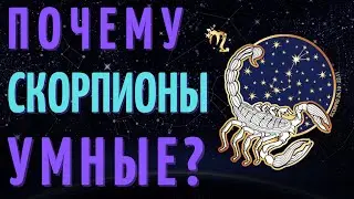 СКОРПИОН САМЫЙ УМНЫЙ ЗНАК ЗОДИАКА? ТОП 7 ПРИЧИН!