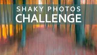 Intentional Camera Movement Photography Challenge