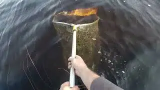 МЫ ЕГО НАШЛИ! КИШАЩЕЕ РЫБОЙ ОЗЕРО, САЧКИ ЛОМАЛИСЬ, КАК СПИЧКИ! (часть 1) #тайга #рыбалкавкарелии
