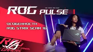 Red Dead Redemption, Hogwarts Legacy Definitive Edition, MechWarrior 5: Clans / ROG PULSE [18.10.24]