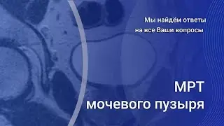 МРТ мочевого пузыря