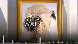 Stephen Walking - The Difference Between Us and the Aliens [HD]