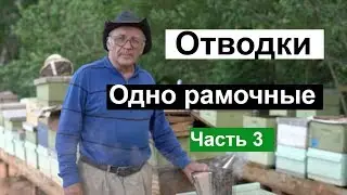 Пасека 