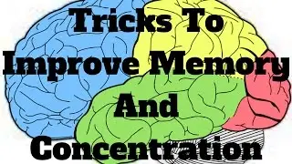 Tricks To Improve Memory And Concentration