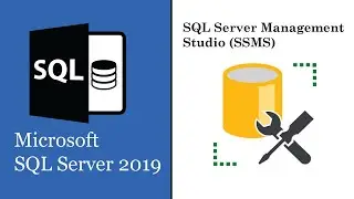 How to download and install Microsoft SQL Server 2019 and SQL Server Management Studio (SSMS)