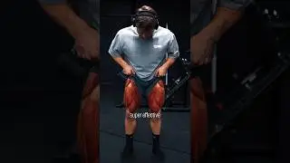 Top 4 QUAD Exercises (Brutal Stretch!)