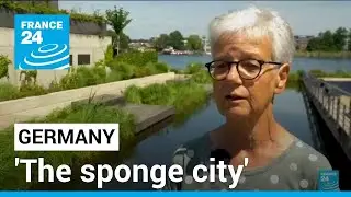 The sponge city: Berlin is striving to absorb and collect rainwater • FRANCE 24 English