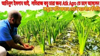 কচু লতির চারা নিতে বাগেরহাট থেকে Atik Agro তে চলে আসলেন আমিনুল ইসলাম ভাই | Kochur Loti | Kochu Chas