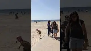 Воскресный жаркий денечек на финском заливе в Сосновом Бору.