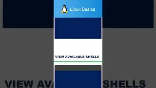 Linux Basics 