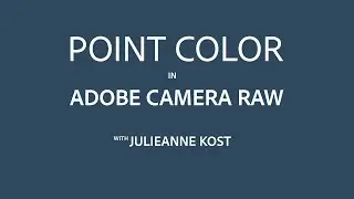 Everything You Need to Know About Point Color in Adobe Camera Raw