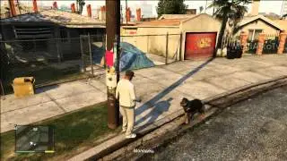 GTA 5 Первая прогулка с Чопом | dog chop