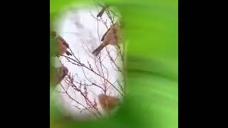 Кутман танынар менен. ,, Сен мага керексин