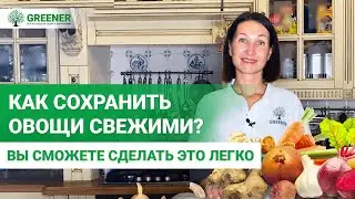 ХИТРОСТИ хранения урожая. КАК сохранить морковь, картофель, лук и другие овощи зимой?