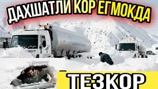 Тезкор.кеча тунда Киргизистонда кучли кор ёгди бунакаси булмаган