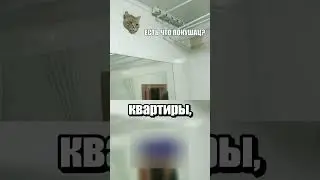 Пухлый котик застрял в вентиляции