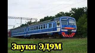 Шум и стук колес в электричке. ЭД9М. Лиски - Алексеевка