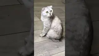 🤣