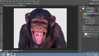 How to Change Background from Transparent to White in Photoshop CS6