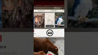 Websites to try when your bored Part 3