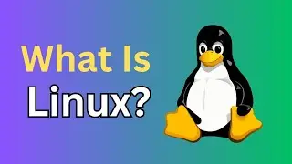 Everything you need to know about Linux