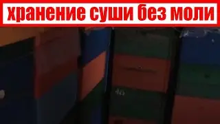 Пчеловодство. Хранение суши и методы борьбы с молью.