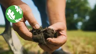 Wabash River: Growing Clean Water