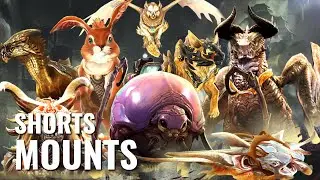 Mounts in Guild Wars 2 — 