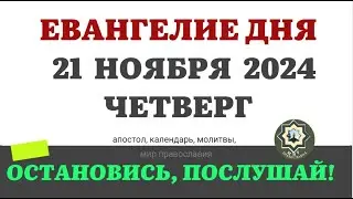 21 НОЯБРЯ ЧЕТВЕРГ ЕВАНГЕЛИЕ АПОСТОЛ ДНЯ ЦЕРКОВНЫЙ КАЛЕНДАРЬ 2024 #мирправославия