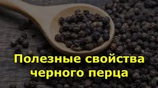 Перец черный. Где и как растет черный перец?