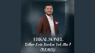 Dilber Evin Barkın Yok Mu (Remix)