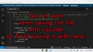 Got an error when saving the file with vscode, so Tried saving it with nano.