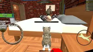 Cat Simulator Kitty Craft (MULTIPLAYER MODE) Android Gameplay #4