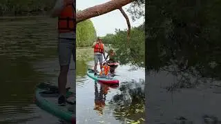 Папа с дочкой на сапборде #sup #сапборд #сплав #сап