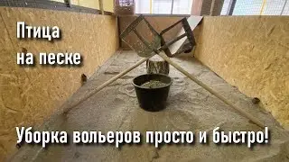 Птица на песке. Уборка вольеров просто и быстро!