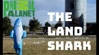 Day in the Life of the Land Shark (Documentary)