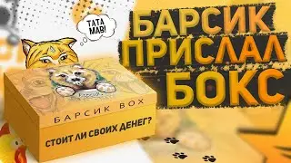 РАЗОЧАРОВАНИЕ ИЛИ ВОСТОРГ? БАРСИК ПРИСЛАЛ BOX ( GTA 5 RP RICHMAN )