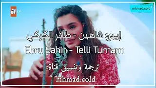 أغنية الحلقة 41 من مسلسل زهرة الثالوث مترجمة (إيبرو شاهين - طائر الكركي) Ebru Şahin - Telli Turnam