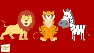 Recognition of Wild Animals, 3. Video