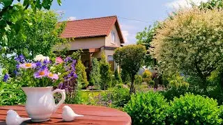 Декоративный Огород Своими Руками 💚Грядки с Цветами🌸 Огород в Июне 
