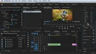 How to Use Nested Sequence