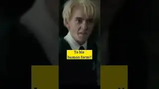 Did you know this about HARRY POTTER AND THE GOBLET OF FIRE?? 
