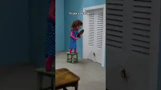 “It’s just a cockroach”