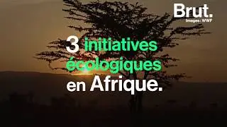 3 initiatives écologiques en Afrique