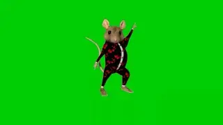 Green screen rat dancing. Unbelievable MUST WATCH by everyone. Green screen mouse dancing.