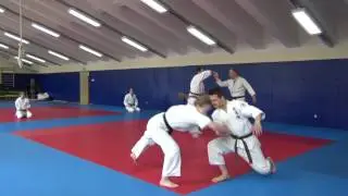 Экзамен на черный пояс томики айкидо (1 часть)