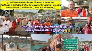 🪔Varaha Swamy Temple/Swami Pushkarini/Radha Krishna Devalayam/Lakshmi Hayagriva Temple/Mada Street🙏