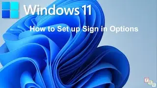 How to Setup Sign-In Options in Windows 11