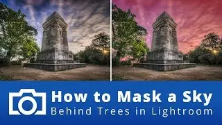 How to Mask a Sky Behind Trees in Lightroom